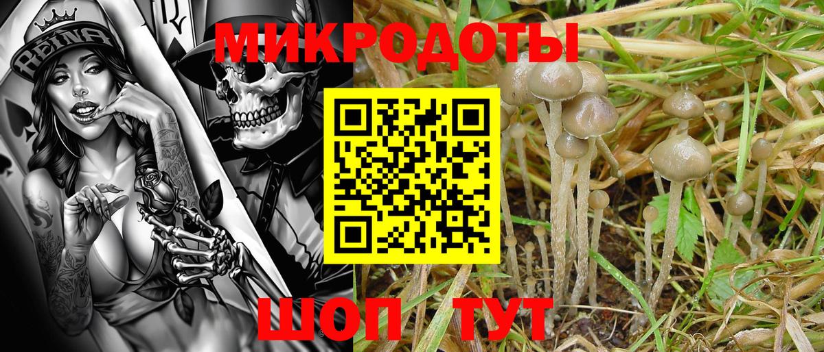 Кондопога  Псилоцибиновые грибы Magic Shrooms  Вход с VPN  Галлюциногенные грибы Psilocybine cubensis 